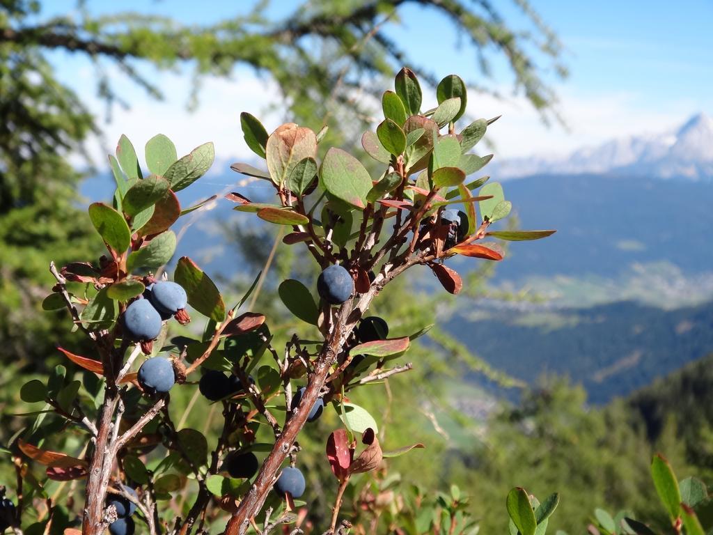 Ausserraingut Flachau Ngoại thất bức ảnh