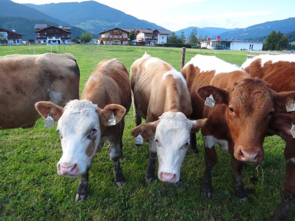 Ausserraingut Flachau Ngoại thất bức ảnh
