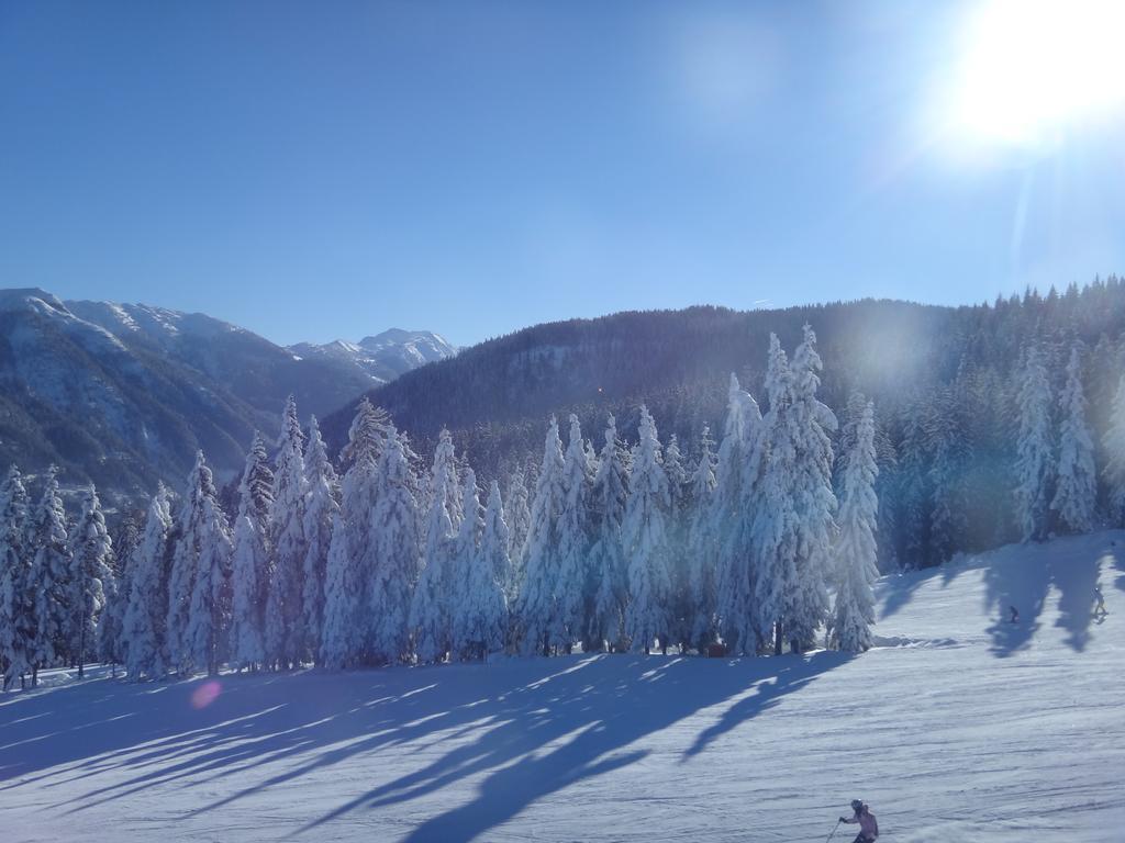 Ausserraingut Flachau Ngoại thất bức ảnh